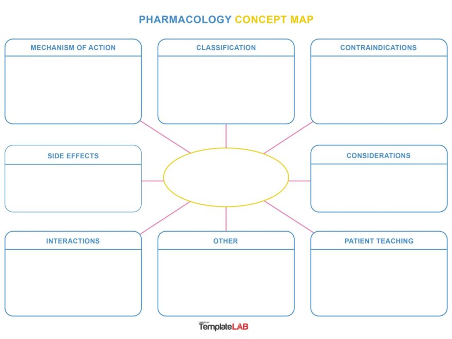 19 Amazing Concept Map Templates FREE TemplateLab