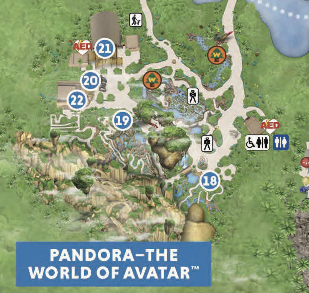 Animal Kingdom Map Printable