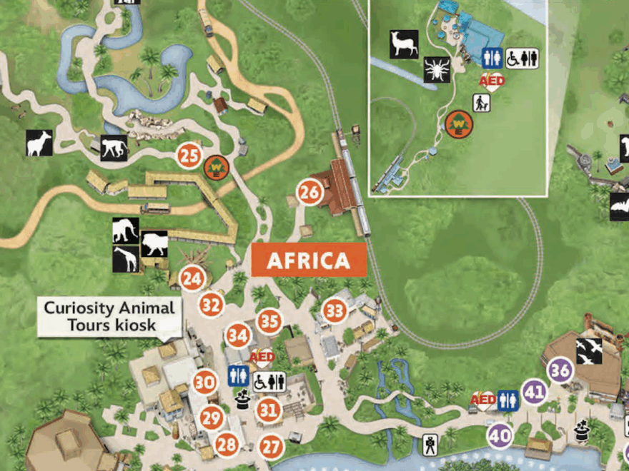 2024 Disney s Animal Kingdom Map Printable PDF Details