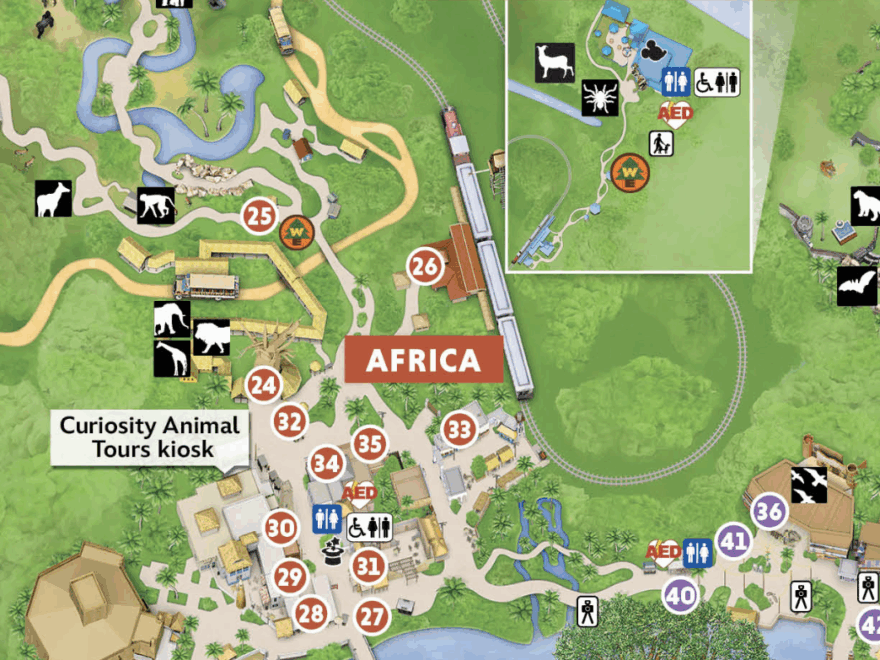 2025 Animal Kingdom Map Walt Disney World WDW Magazine