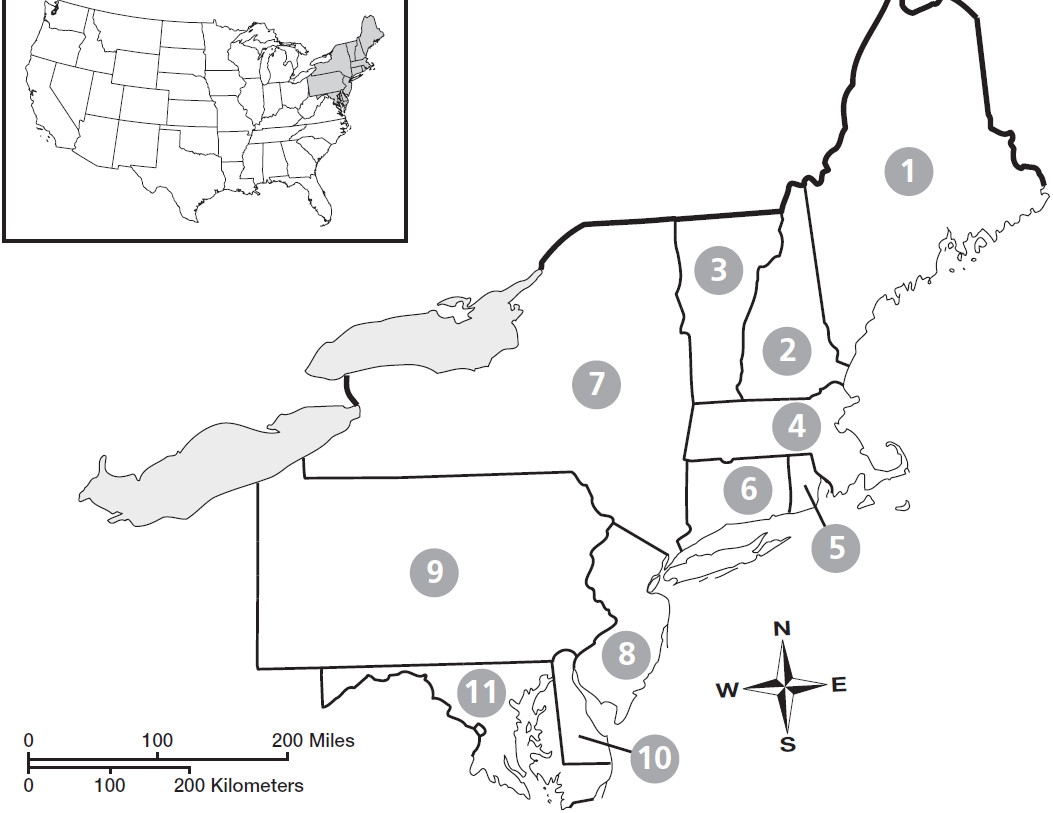 Blank Northeast Region Map Printable