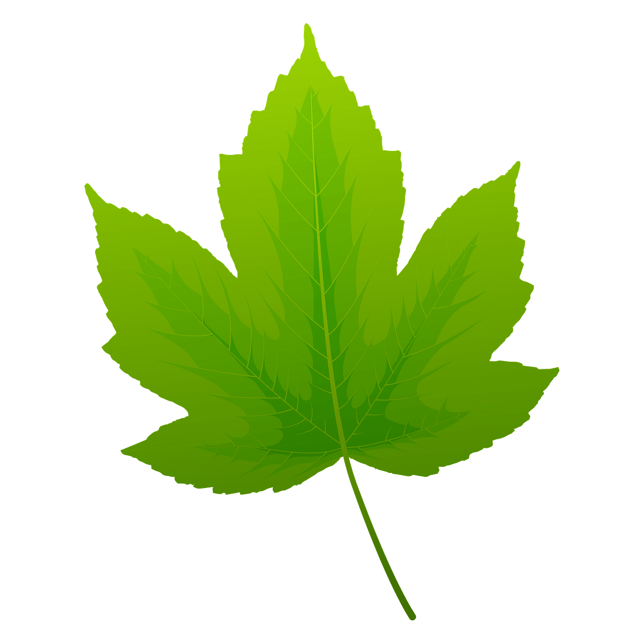 Printable Green Maple Leaf Printable Green Maple Leaf