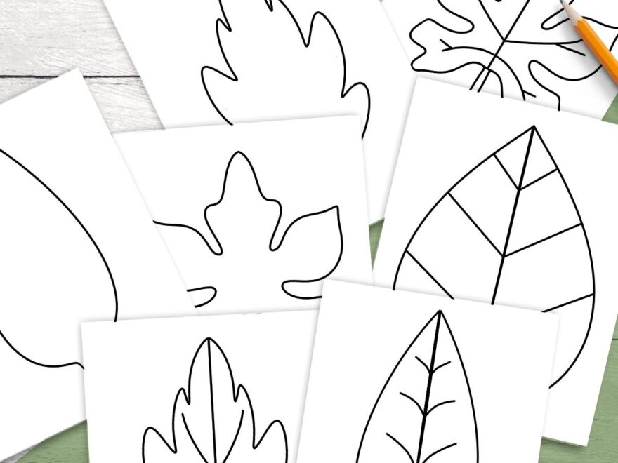 Free Leaf Templates Outlines Tons Of Printables