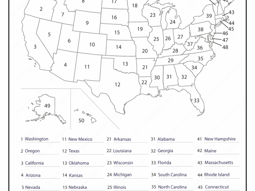 Free Printable Blank Map Of The United States Worksheets Worksheets Library