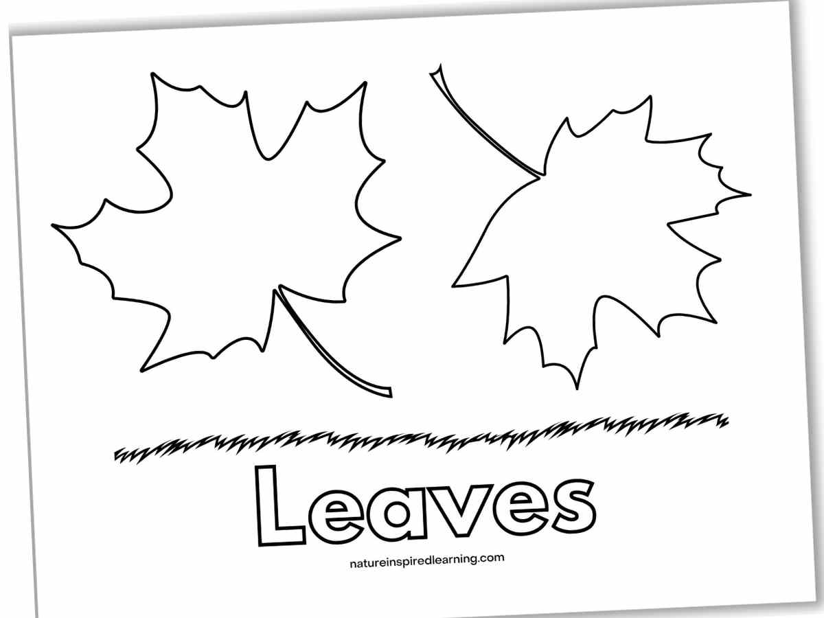 Leaf Coloring Pages Nature Inspired Learning