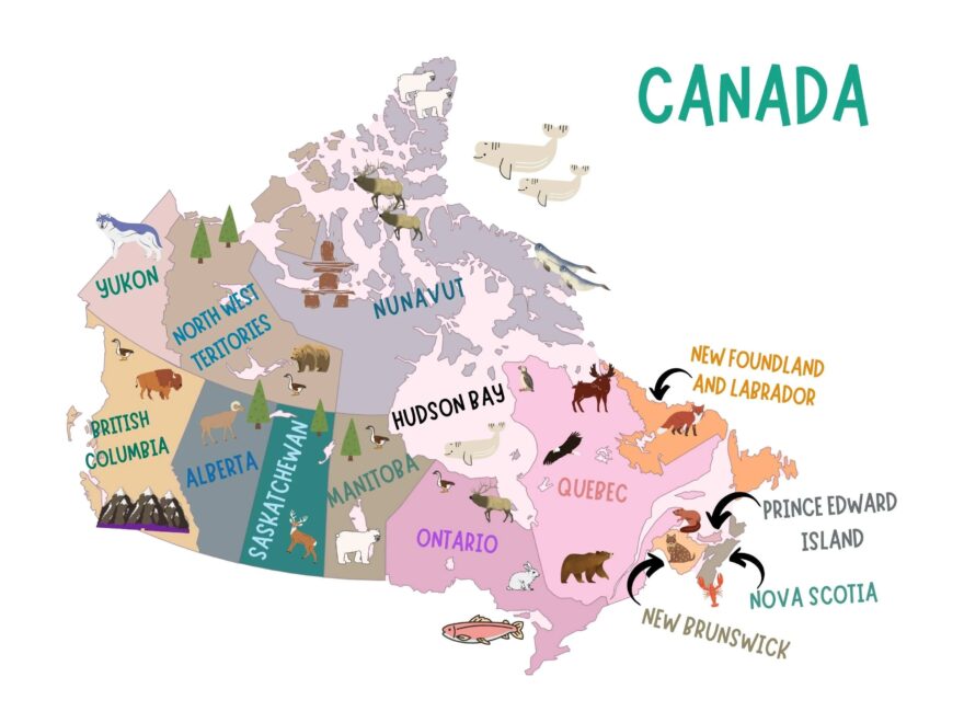 Light Rose Map Of Canada For Kids Poster Educational And Decorative Wall Art Bonus Cut Out Etsy
