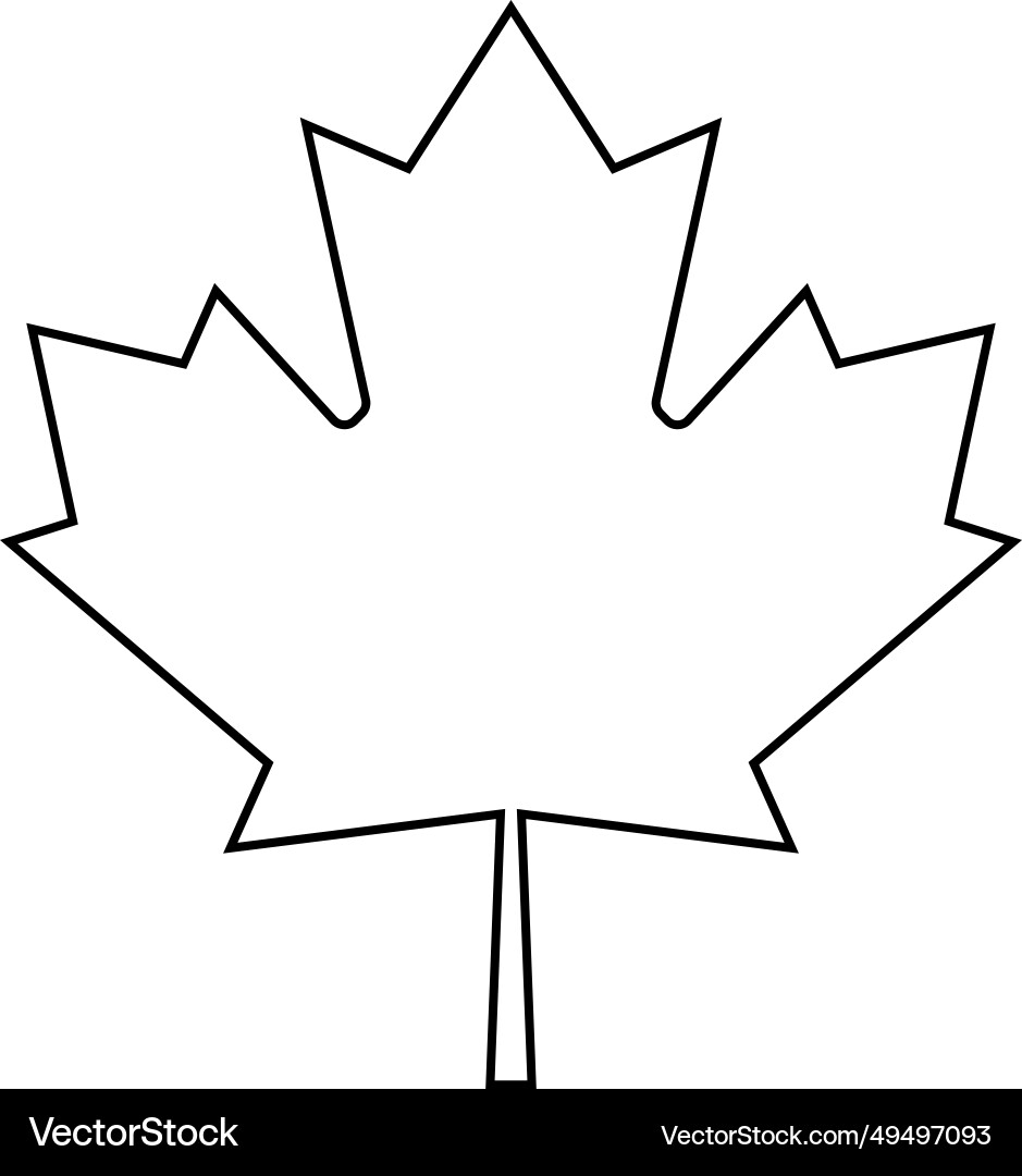 Maple Leaf Icon Canada Flag Line Symbol Royalty Free Vector