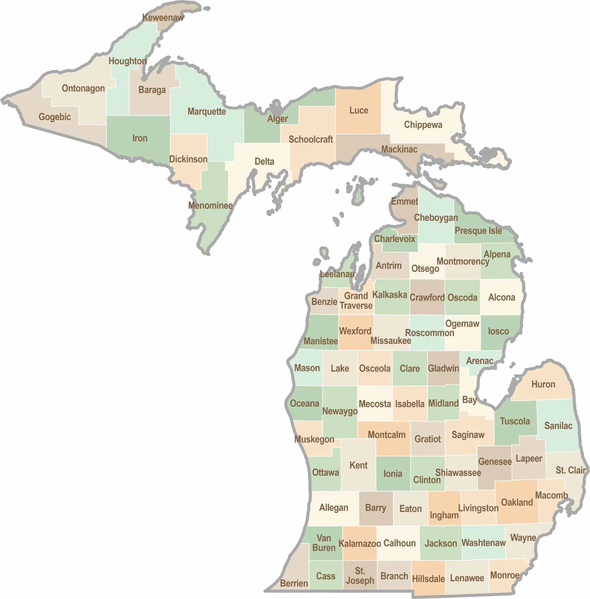 Lower Penninsula Michigan County Map Printable