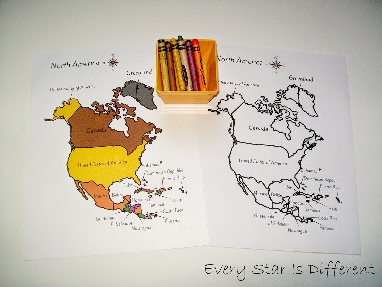 North America Unit With Free Printables Every Star Is Different