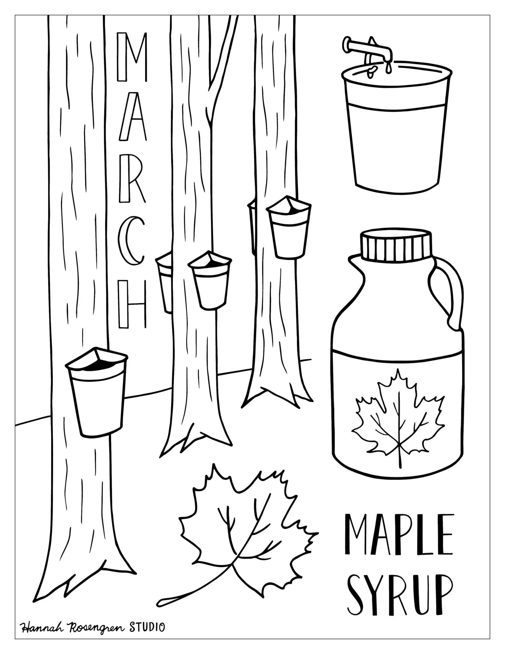 Free Printable About Maple Syrup