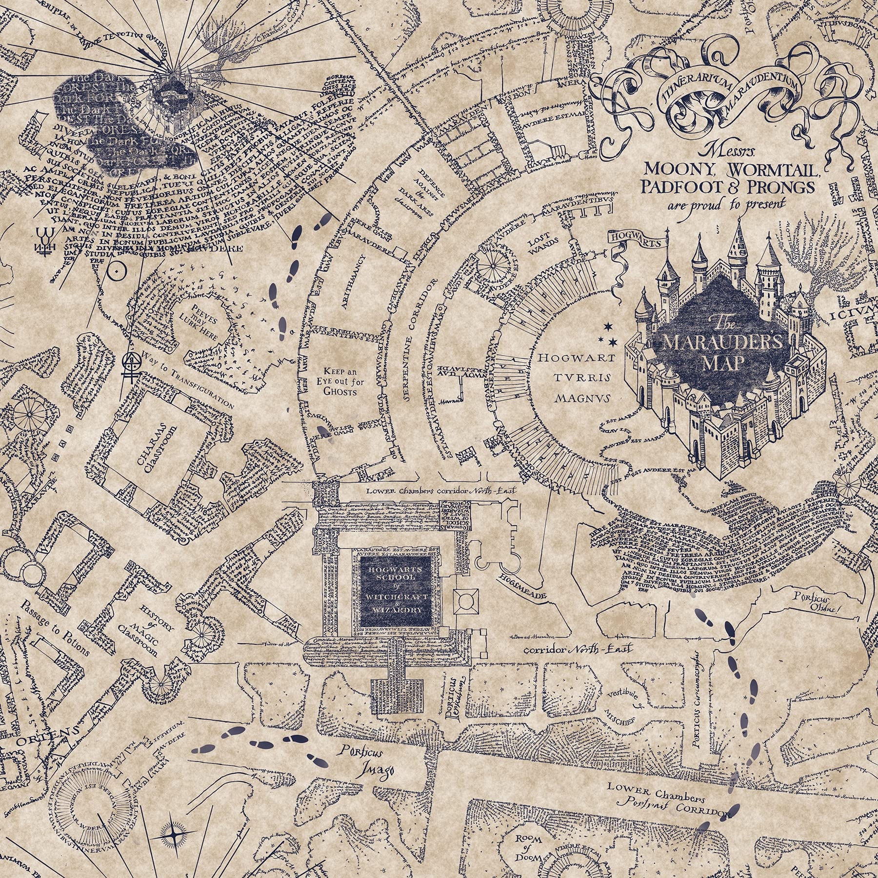 RoomMates RMK12436RL Blue Harry Potter Marauder s Map Peel And Stick Wallpaper Amazon