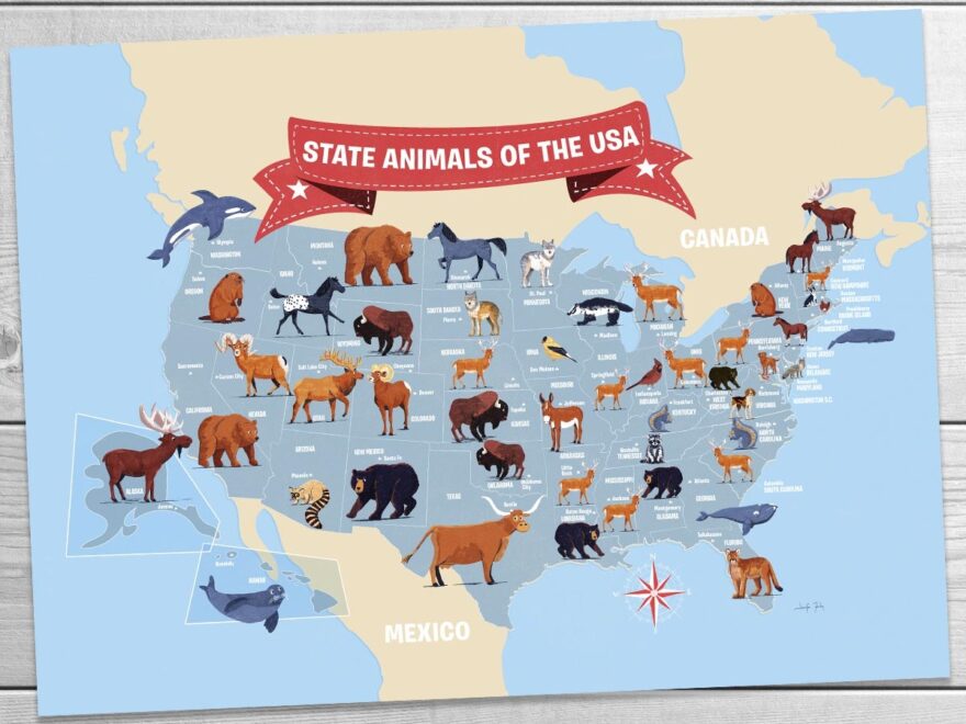 State Animals Of The USA Map Print Blue Version Jennifer Farley Picture Books Illustration Maps Design