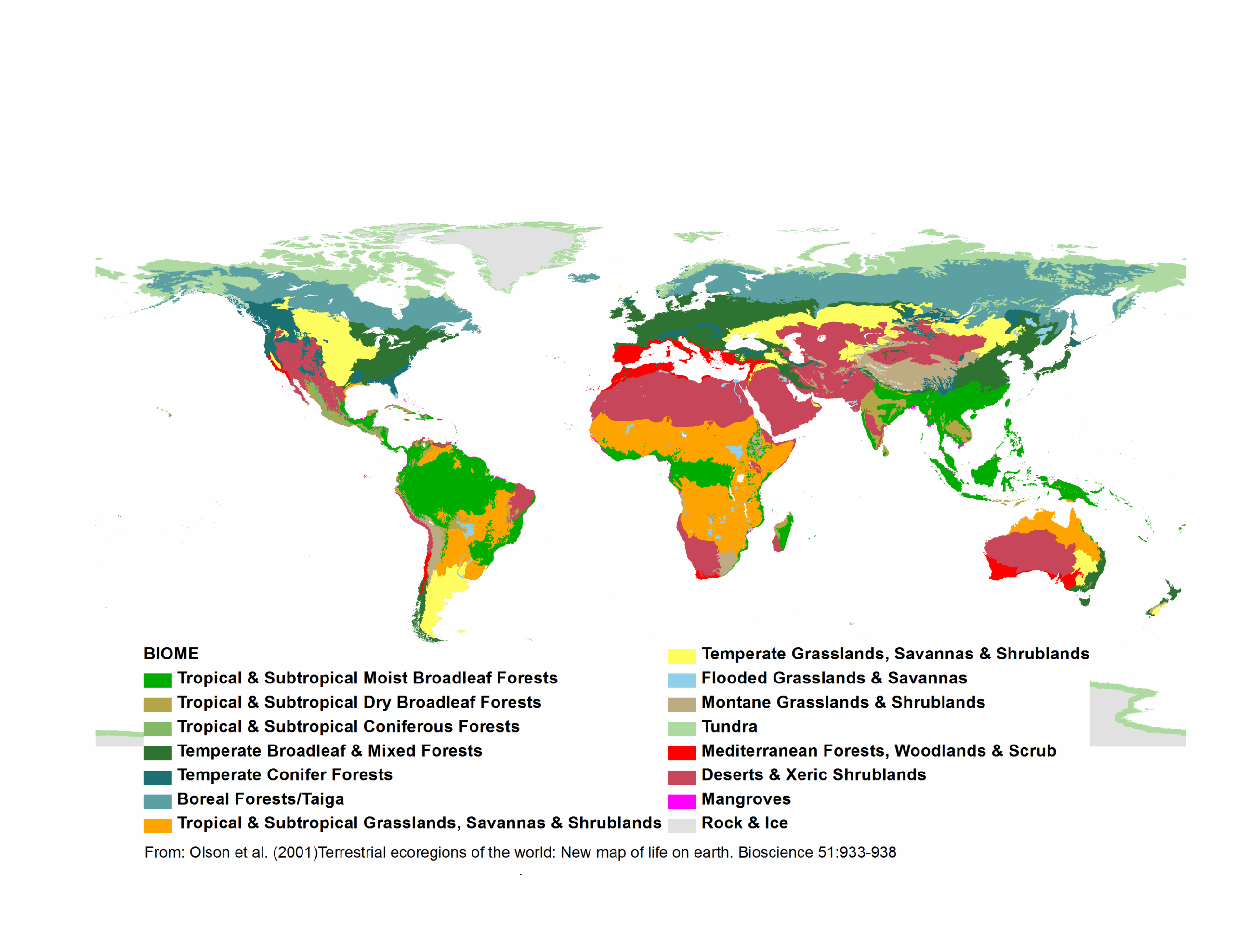 World Climate Map Printable