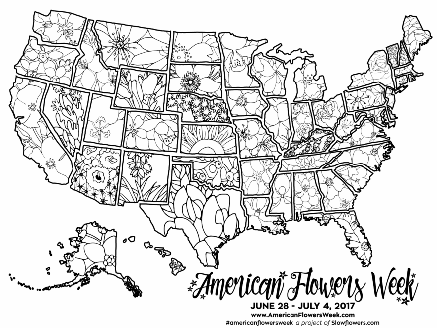 USA Map Of State Flowers Free Promotional Material For American Flowers Week American Flowers Week
