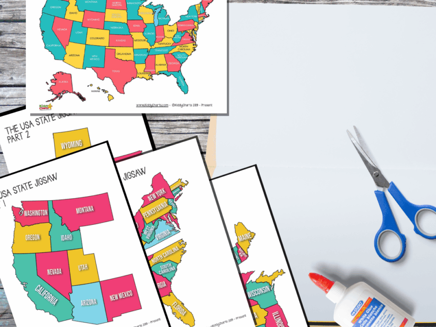 USA State Jigsaw Puzzle Free Kiddy Charts Activities